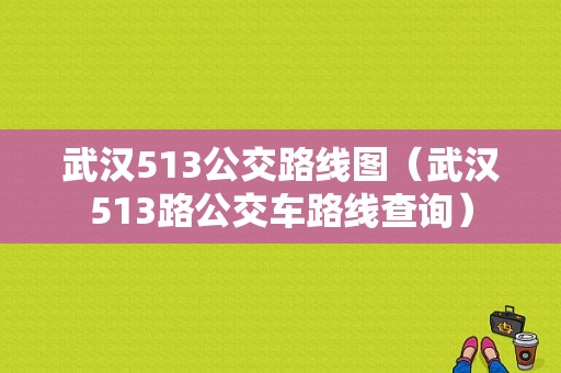 武汉513公交路线图（武汉513路公交车路线查询）