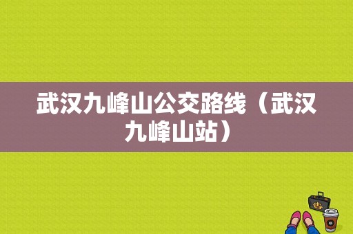 武汉九峰山公交路线（武汉九峰山站）