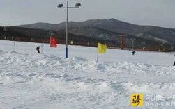 金龙山滑雪场公交路线（金龙山滑雪场玩后感）