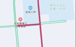 沾化区工207公交路线图（沾化公交车电话号码）