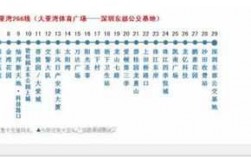 惠州大亚湾20公交路线（惠州大亚湾公交路线查询）