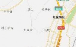 遵义公交路线9路（遵义公交路线9路路线图）