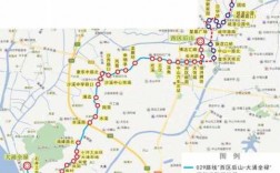 中山免费公交路线（中山免费公交路线有哪些）