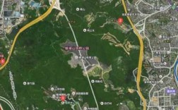 深圳聚龙山公交路线（深圳聚龙山公园一圈多少公里）