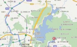 南山区到仙湖公交路线（从南山到仙湖植物园坐什么车?）