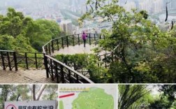 深圳聚龙山公园公交路线（深圳聚龙山公园公交路线怎么走）