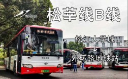 上海莘松专线公交路线（上海市松莘线公交车）