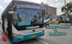 泊里523公交路线（泊里503路公交车时间表）