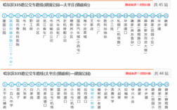 哈尔滨335公交路线（哈尔滨公交335路线图）