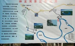 海宁神龙湾公交路线（海宁神龙湾景区门票）