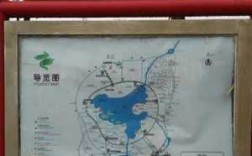 绿博园公交路线（绿博园公交路线图）