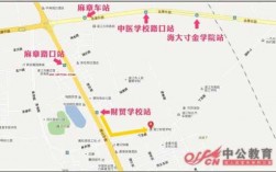 湛江海洋大学公交路线（湛江海洋大学公交车路线）