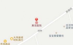 庄河黑岛公交路线（庄河到黑岛602最晚几点发车）