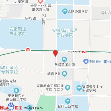 合肥301公交路线（合肥301公交路线会直接到达安徽新华电脑专修学院吗）-图2