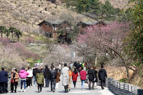 西山梅园公交路线（西山梅园公交路线怎么走）-图2