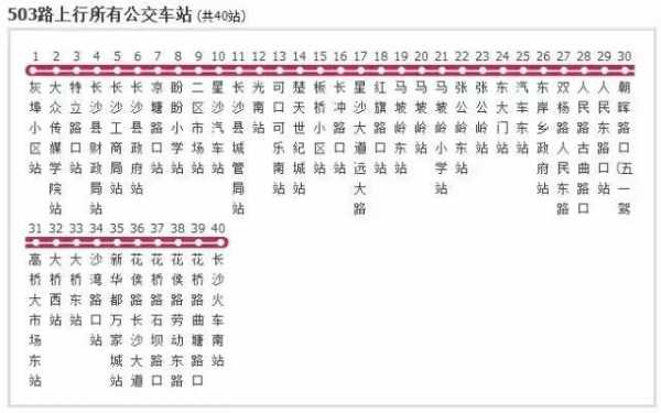 中山66路公交路线（中山68路）-图2