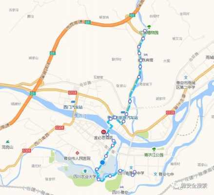 雅安公交路线图表（雅安八路公交路线）-图2