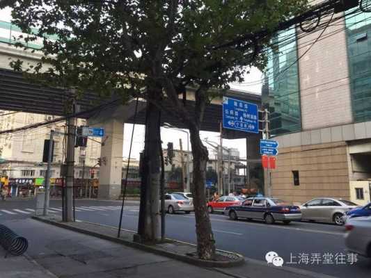 宁国路附近公交路线（宁国路58号怎么走）-图2