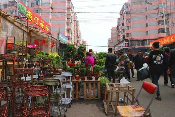 哈尔滨鱼鸟花市公交路线（哈尔滨花鸟鱼市场什么时候开业）-图2