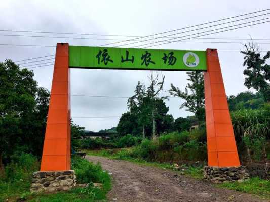 宁海依山农场公交路线（宁海依山农场门票多少钱）-图3