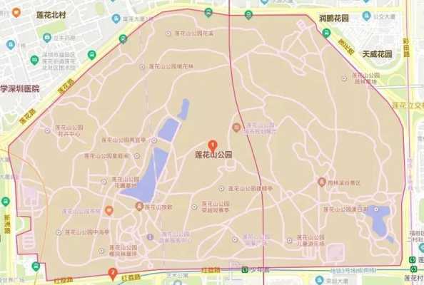 深圳聚龙山公园公交路线（深圳聚龙山公园公交路线怎么走）-图3