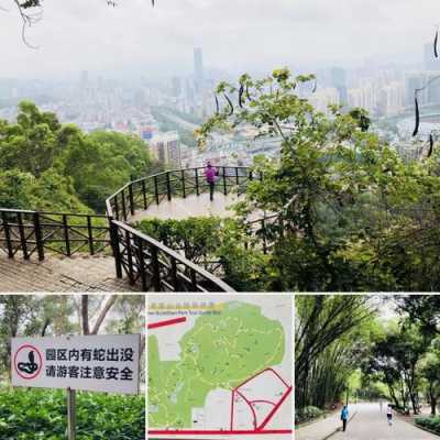 深圳聚龙山公园公交路线（深圳聚龙山公园公交路线怎么走）-图1