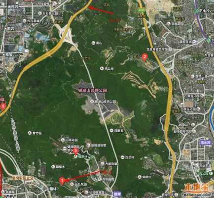 深圳聚龙山公园公交路线（深圳聚龙山公园公交路线怎么走）-图2