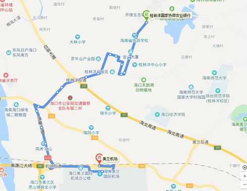 儋州到银滩的公交路线（乳山银滩202公交路线）-图1