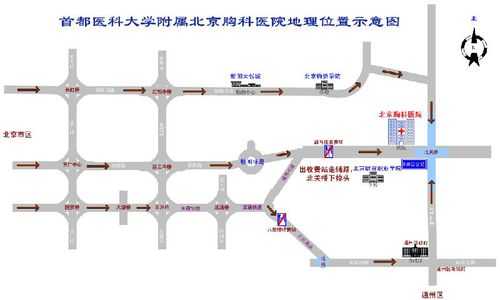 胸科医院新址公交路线（胸科医院到省二院公交路线）-图1