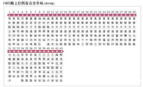 h85公交路线电话（h85路公交车路线图实时）-图1