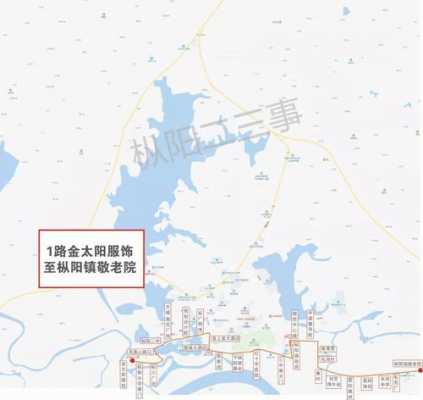 枞阳公交路线8路（枞阳36路公交路线）-图3