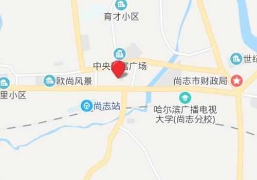 尚志公交路线地图（尚志公交车时间查询）-图3