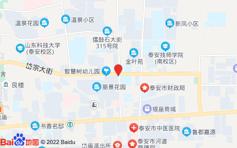 泰安公交路线巨鼎（泰安公交路线巨鼎路线图）-图1