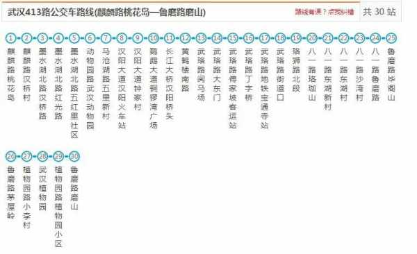 武汉411公交路线（武汉411路公交车路线路线）-图1