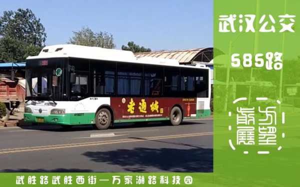 585武汉公交路线（武汉市公交车585线路）-图3