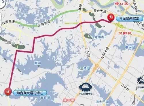 武汉朱家亭公交路线（武汉朱家亭公交路线查询）-图3