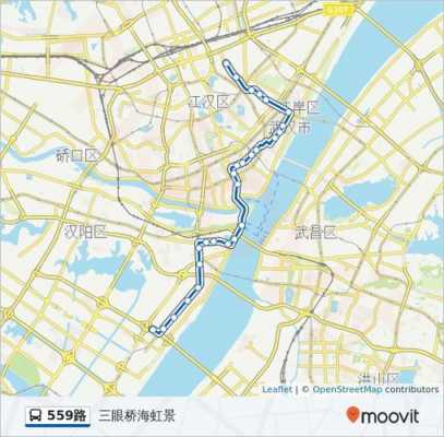 武汉市公交路线559（武汉市公交559路最新线路）-图1
