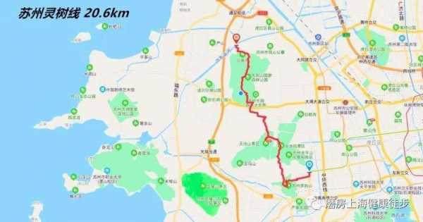 灵树线公交路线（灵树线线路图）-图3