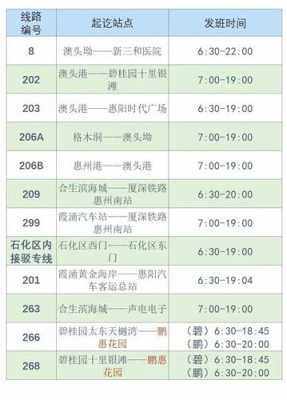 惠州大亚湾209公交路线（惠州大亚湾209公交车路线）-图2