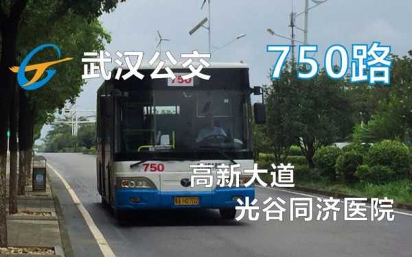 武汉750公交路线（武汉公交750发车时刻表）-图3