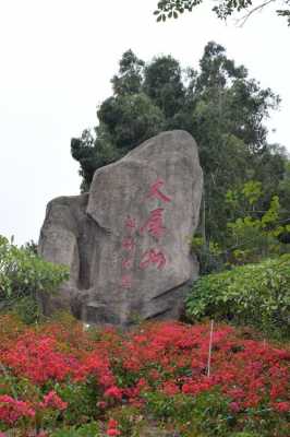 大屏山公交路线（大屏山公园怎么坐车）-图3