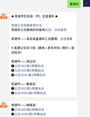 芜湖最新公交路线（芜湖公交车线路实时查询）-图2