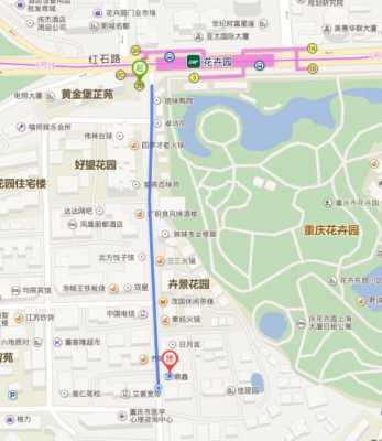 重庆花卉园自驾公交路线（到重庆花卉园坐轻轨几号线）-图3