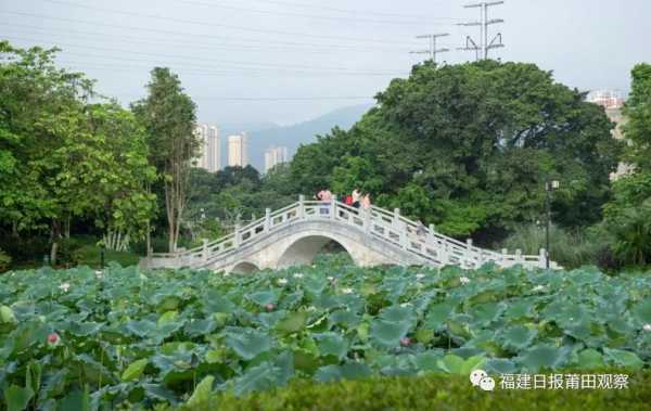 到绶溪公园公交路线（去绶溪公园坐几路公交车）-图3