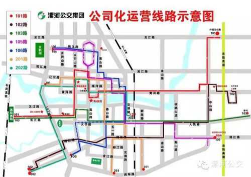 漯河300公交路线（漯河公交300路路线）-图3