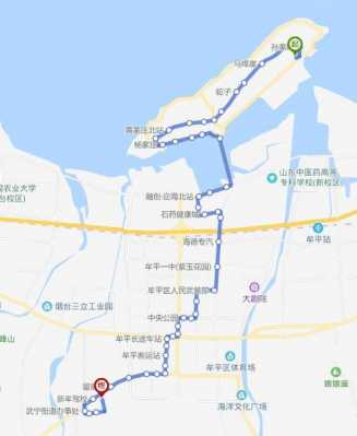 烟台8路车公交路线（烟台定制公交d8路）-图2