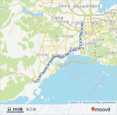 惠州大亚湾202公交路线（惠州大亚湾202路公交路线）-图2