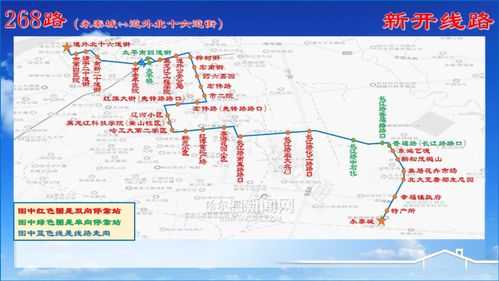 268路公交路线（268公交路线查询）-图3