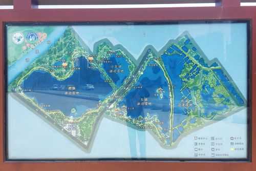 徐州九里湖公交路线（徐州九里湖湿地公园坐几路车）-图1