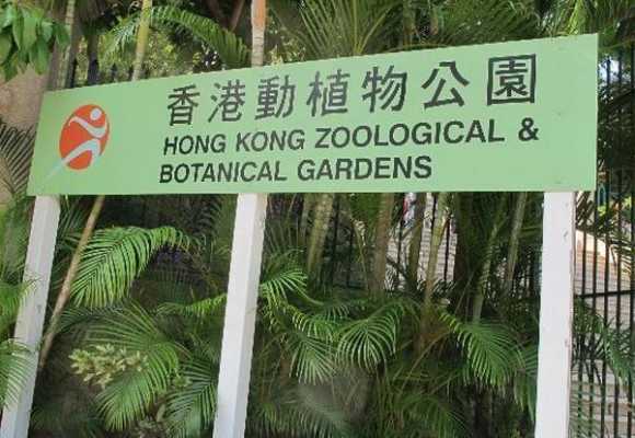 香港动植物公园公交路线（香港动植物公园门票价格）-图1